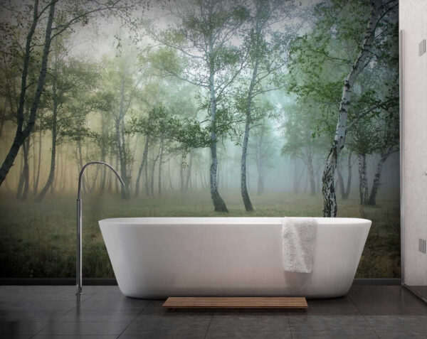 Forêt brumeuse avec des arbres Forêt brumeuse avec des arbres