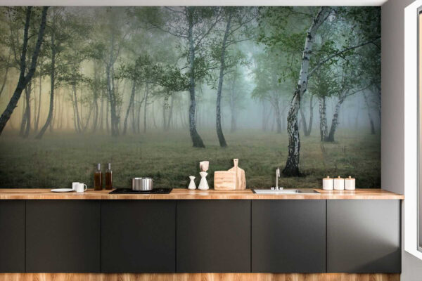 Forêt brumeuse avec des arbres Forêt brumeuse avec des arbres