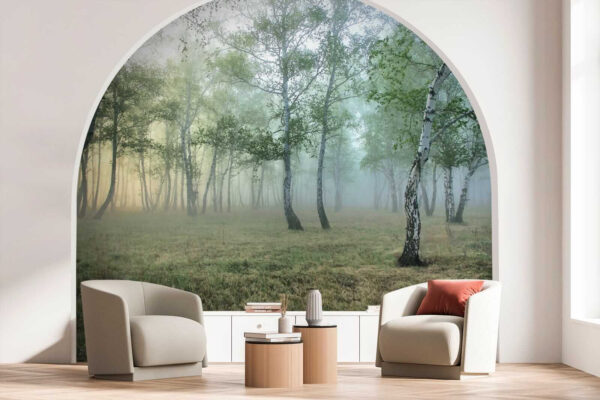 Forêt brumeuse avec des arbres Forêt brumeuse avec des arbres