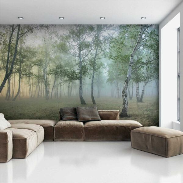 Forêt brumeuse avec des arbres Forêt brumeuse avec des arbres