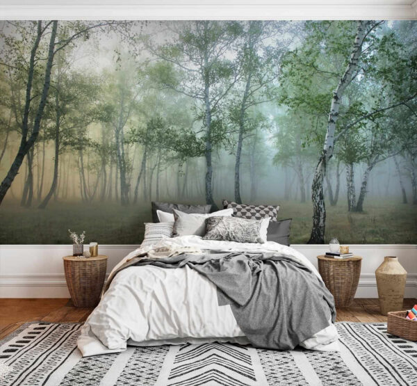 Forêt brumeuse avec des arbres Forêt brumeuse avec des arbres