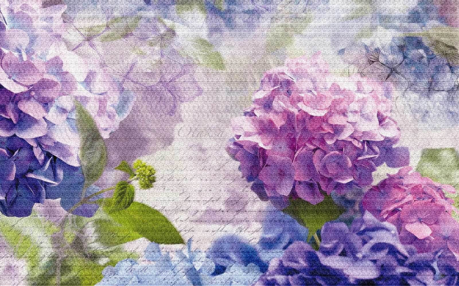 Des teintes douces de fleurs épanouies u25737p - Des teintes douces de fleurs épanouies - tegory