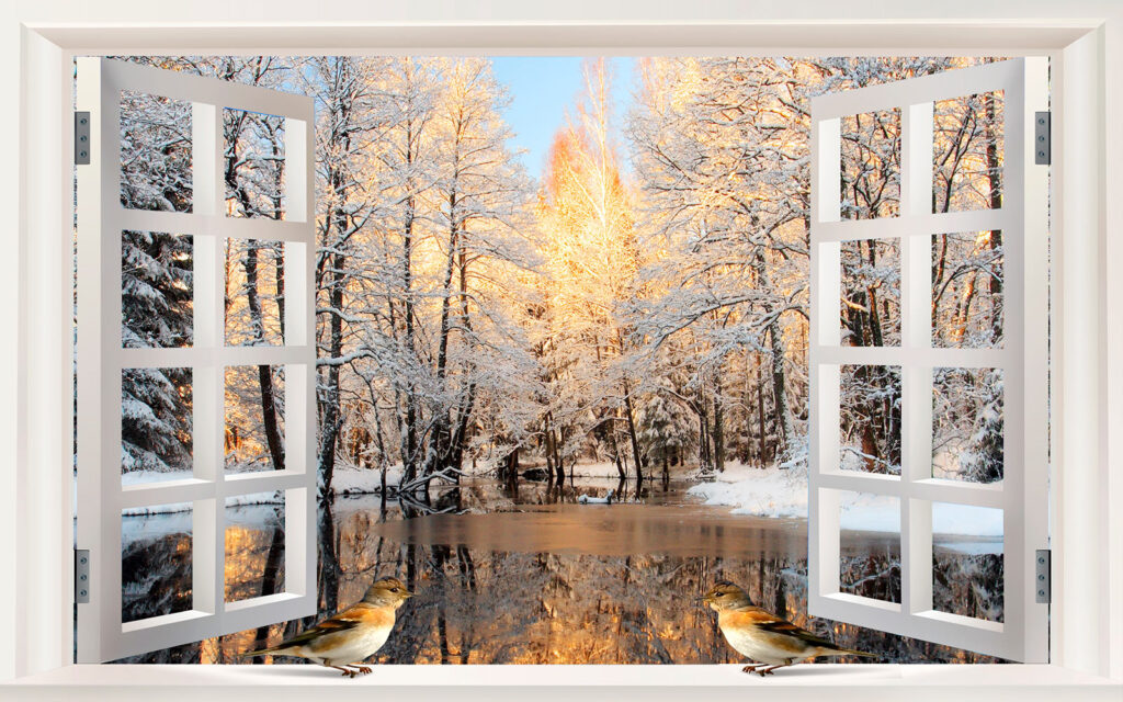 Fenêtre avec oiseaux donnant sur un lac Fenêtre avec oiseaux donnant sur un lac