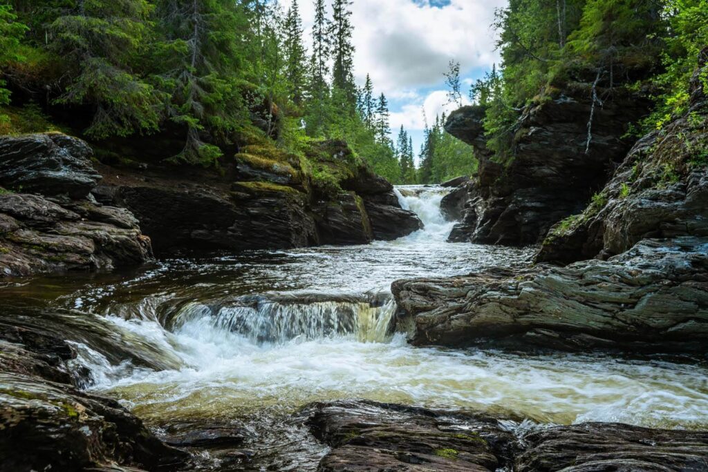 Rivière avec rochers et arbres Rivière avec rochers et arbres