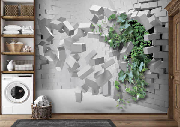 Plante traversant un mur Plante traversant un mur