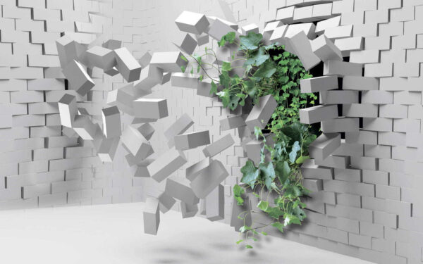 Plante traversant un mur Plante traversant un mur