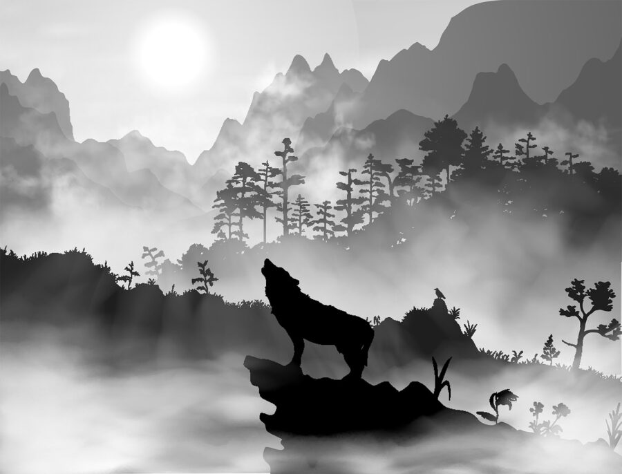 Loup hurlant à la lune