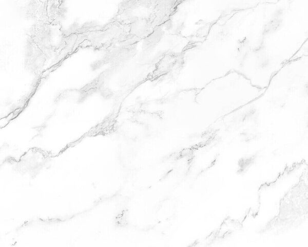 Surface en marbre blanc avec des veines noires Surface en marbre blanc avec des veines noires