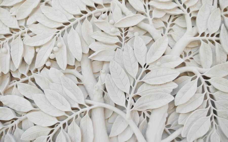 Arbre blanc avec feuilles et baies