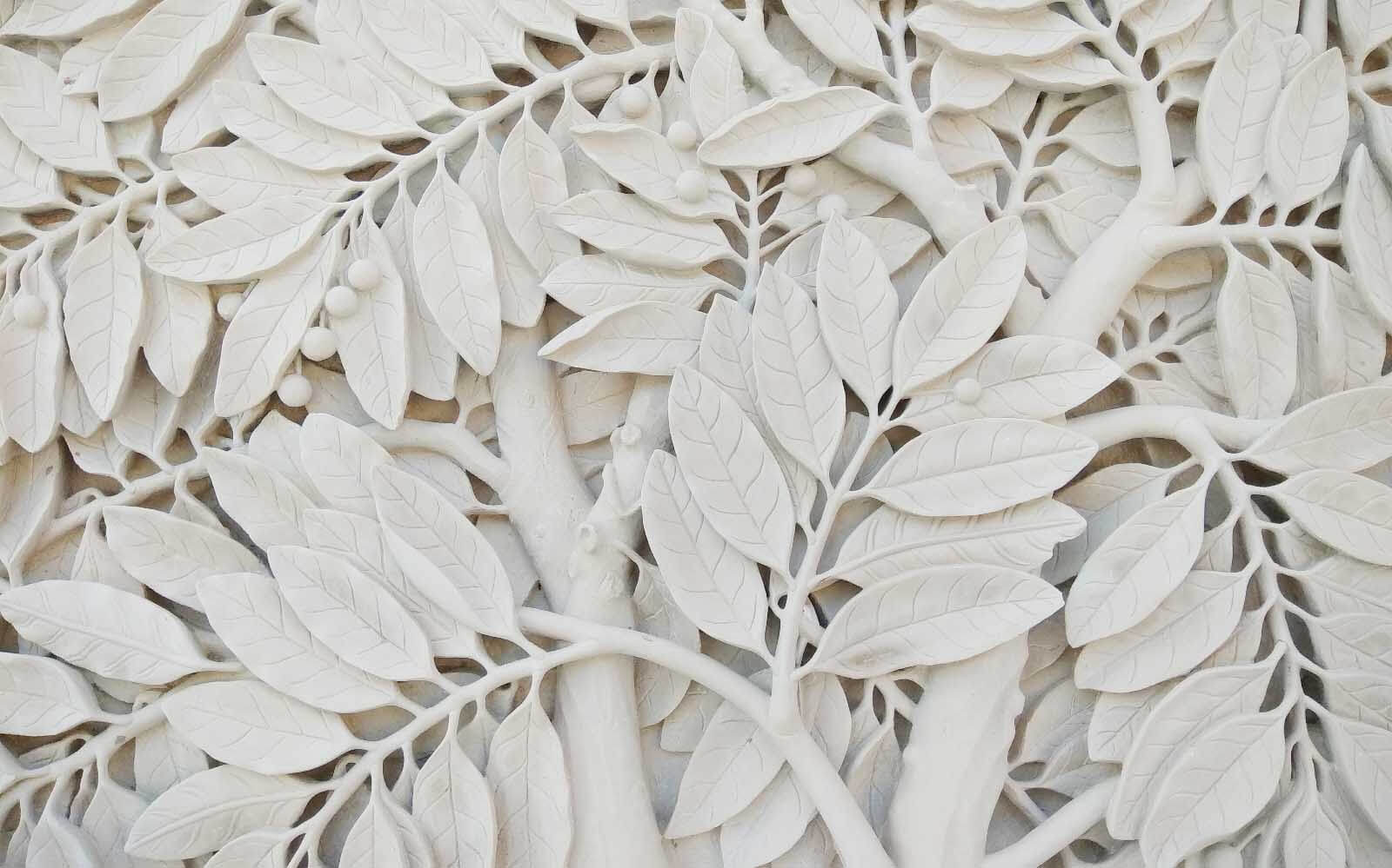 u21395p - Arbre blanc avec feuilles et baies - tegory