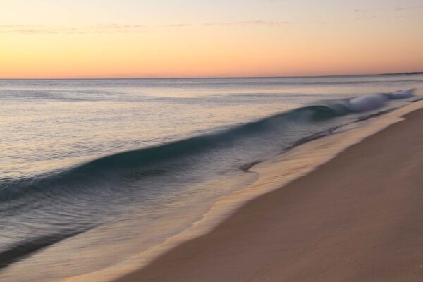 Vague sur une plage u21355p 600x400 - Vague sur une plage - tegory