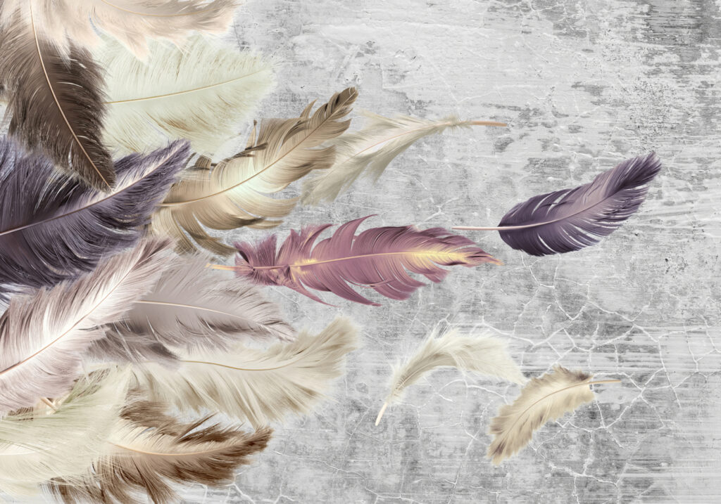 Groupe de plumes en vol Groupe de plumes en vol