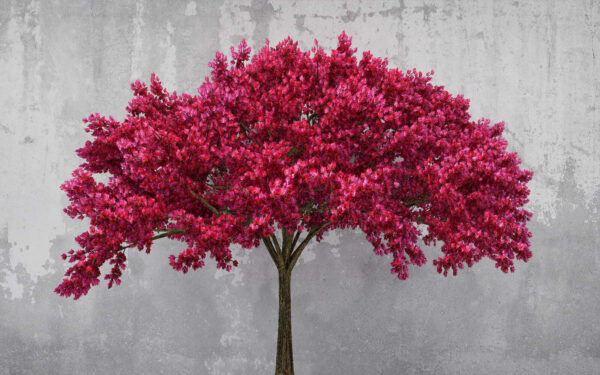 Arbre aux fleurs roses Arbre aux fleurs roses