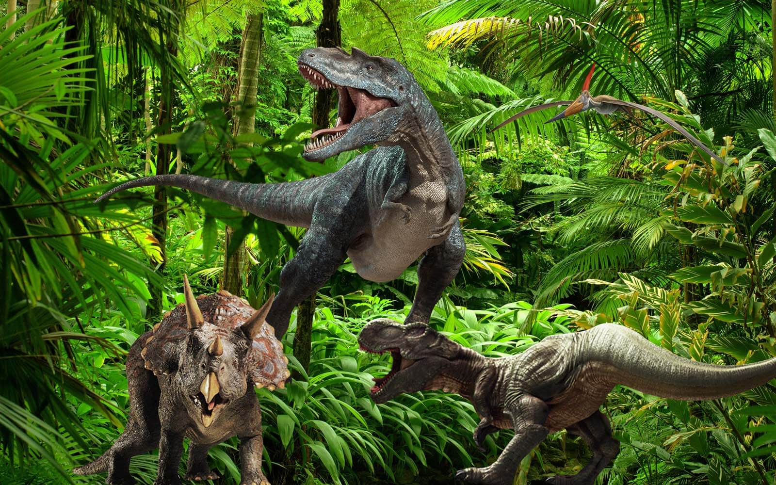 Groupe de dinosaures dans une forêt u20726p - Groupe de dinosaures dans une forêt - tegory
