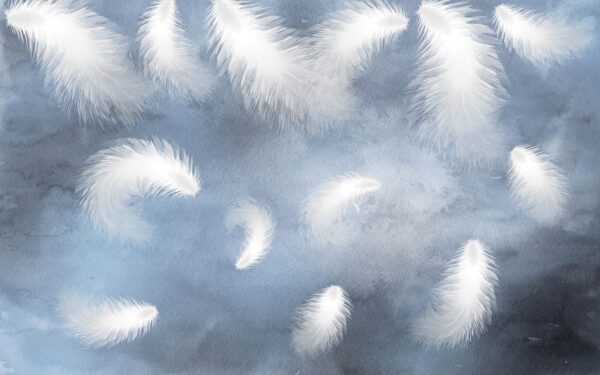 Plumes blanches dans le ciel Plumes blanches dans le ciel