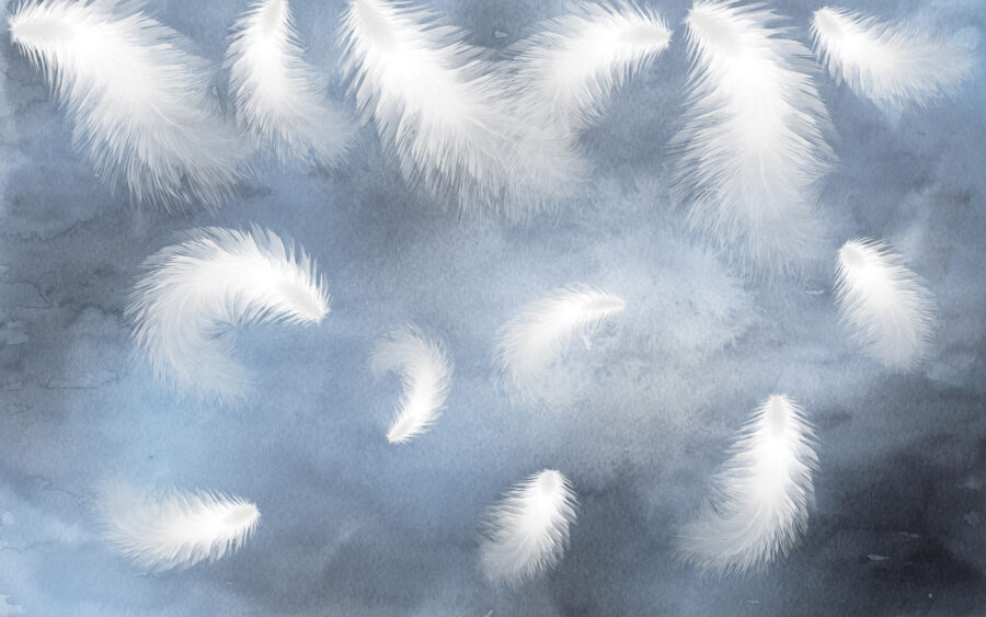 Plumes blanches dans le ciel Plumes blanches dans le ciel