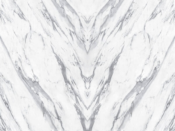 Surface en marbre blanc avec lignes noires Surface en marbre blanc avec lignes noires