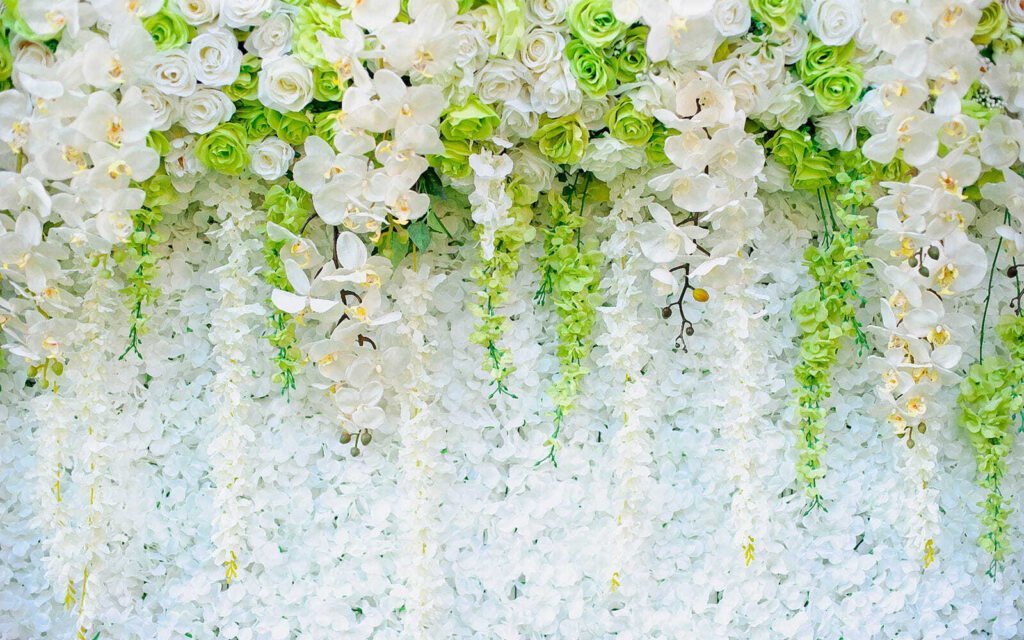 Mur de fleurs et de vignes Mur de fleurs et de vignes