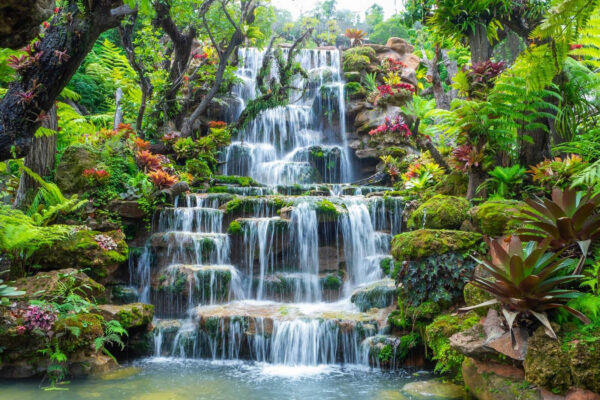 Cascade dans un jardin tropical Cascade dans un jardin tropical