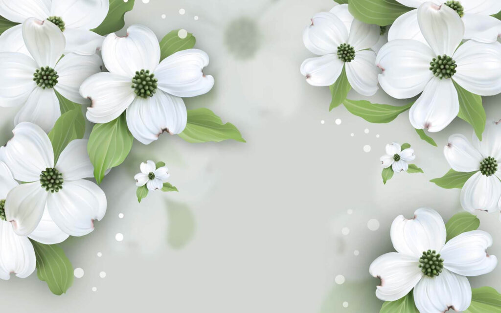 Fleurs blanches avec feuilles vertes Fleurs blanches avec feuilles vertes