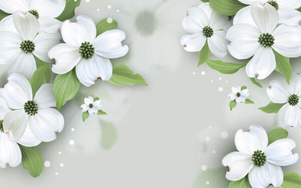 Fleurs blanches avec feuilles vertes Fleurs blanches avec feuilles vertes