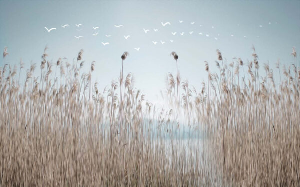 Groupe d'herbes hautes avec des oiseaux volant dans le ciel Groupe d'herbes hautes avec des oiseaux volant dans le ciel