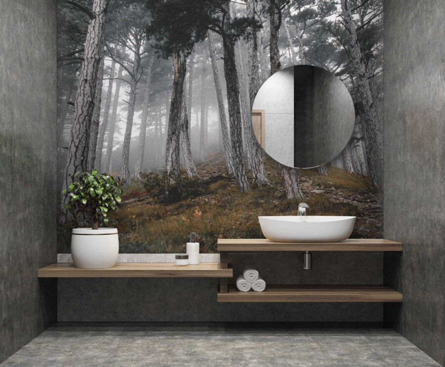 Forêt avec arbres dans le brouillard