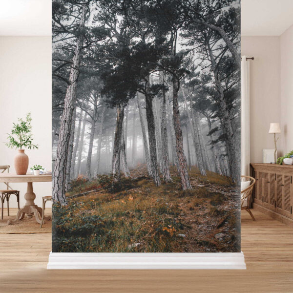 Forêt avec arbres dans le brouillard Forêt avec arbres dans le brouillard