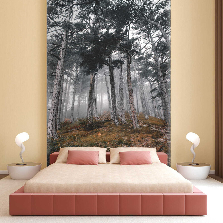 Forêt avec arbres dans le brouillard