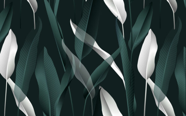 Feuilles élégantes sur fond sombre Feuilles élégantes sur fond sombre