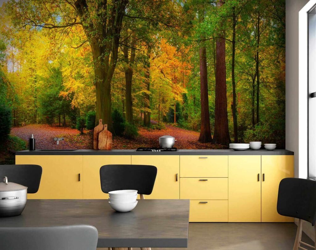 Path with trees and leaves on it