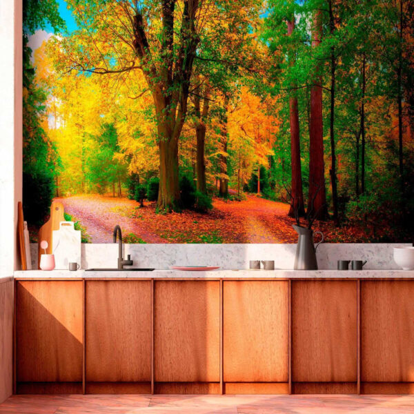 Chemin avec des arbres et des feuilles Chemin avec des arbres et des feuilles