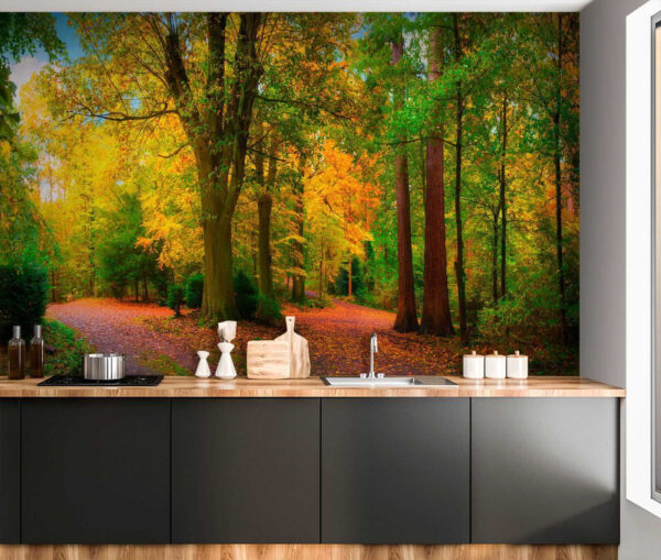 Chemin avec des arbres et des feuilles Chemin avec des arbres et des feuilles
