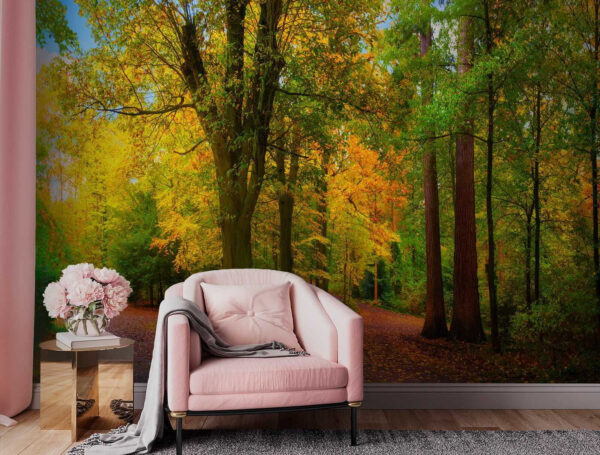 Chemin avec des arbres et des feuilles Chemin avec des arbres et des feuilles
