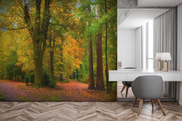 Chemin avec des arbres et des feuilles Chemin avec des arbres et des feuilles