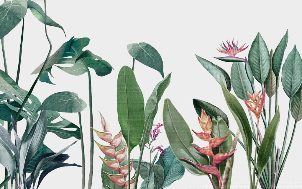 Une verdure luxuriante aux couleurs éclatantes Une verdure luxuriante aux couleurs éclatantes