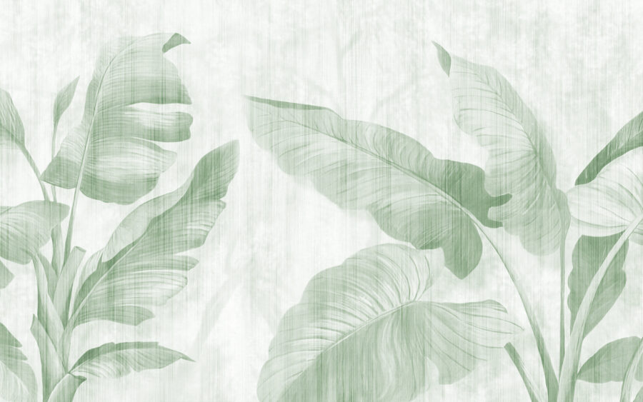 Feuilles luxuriantes dans des teintes vertes douces. Feuilles luxuriantes dans des teintes vertes douces.