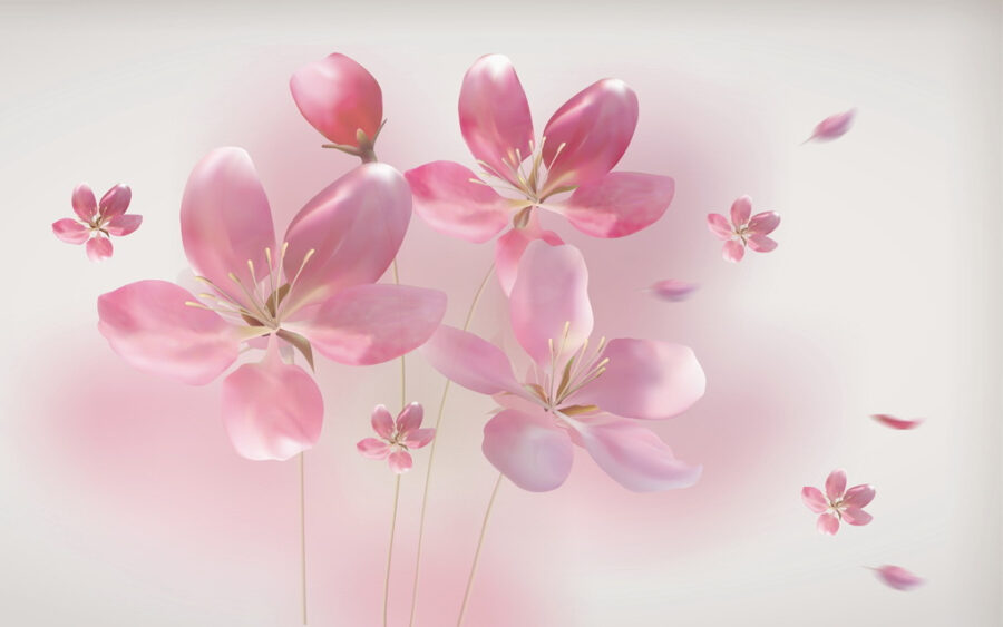 Groupe de fleurs roses u08241p 900x563 - Groupe de fleurs roses - tegory