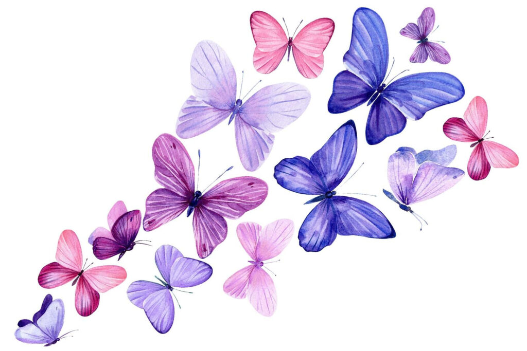 Groupe de papillons en vol Groupe de papillons en vol