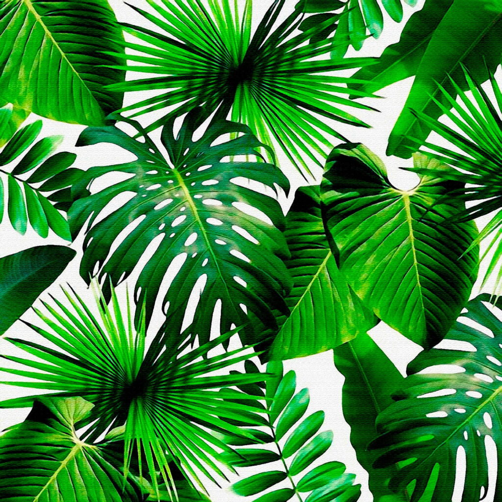 Groupe de feuilles vertes Groupe de feuilles vertes