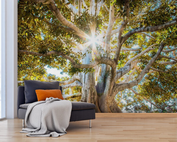 Arbre majestueux sous un soleil radieux Arbre majestueux sous un soleil radieux