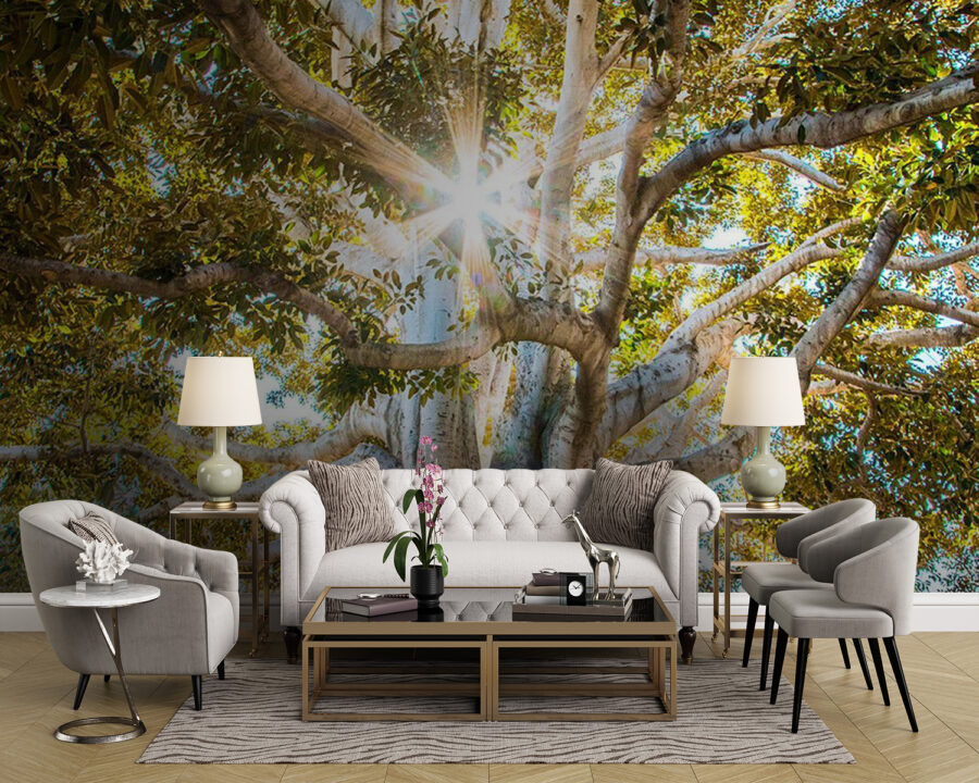 Arbre majestueux sous un soleil radieux