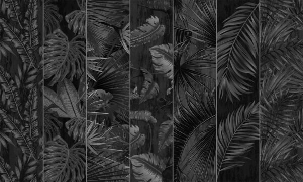 Image en noir et blanc d'une variété de feuilles Image en noir et blanc d'une variété de feuilles