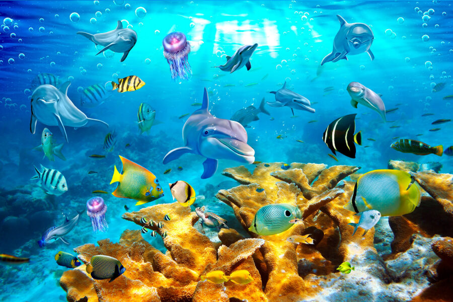 Groupe de poissons nageant dans l'eau