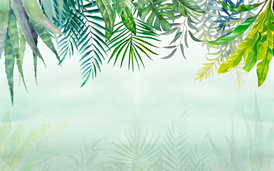 Groupe de feuilles sur fond blanc