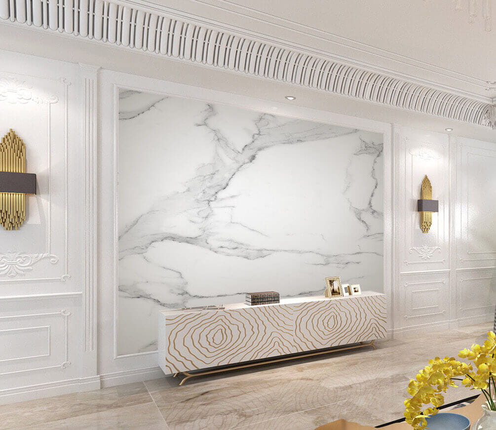 u05404pig2m - Surface en marbre blanc avec des veines noires - tegory