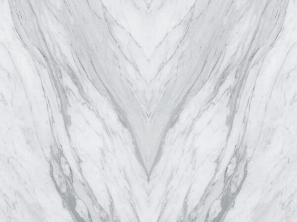 Surface en marbre blanc avec des veines noires Surface en marbre blanc avec des veines noires