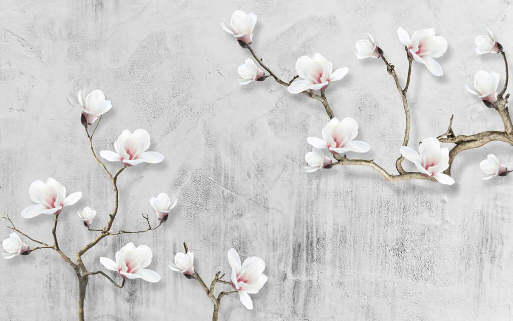 Fleurs blanches sur fond blanc Fleurs blanches sur fond blanc