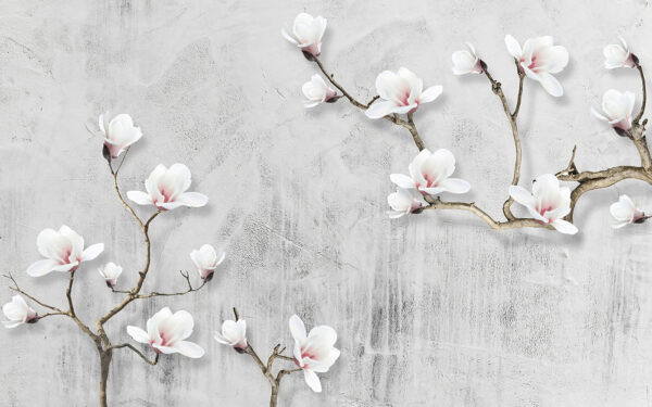 Fleurs blanches sur fond blanc Fleurs blanches sur fond blanc