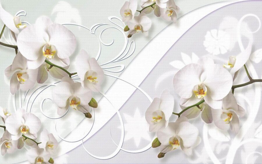 Orchidées délicates aux teintes douces